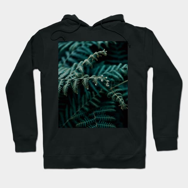 Dark Green Fern Leaves - Inspirational Hoodie by Ravensdesign